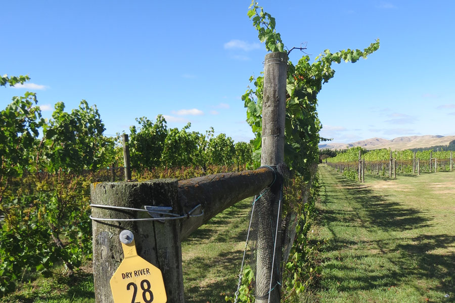 Fine Wine Tours Auckland New Zealand