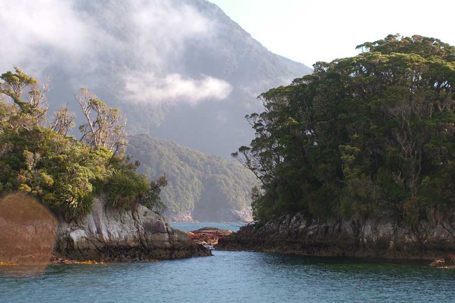 Deep Cove Charters Doubtful Sound