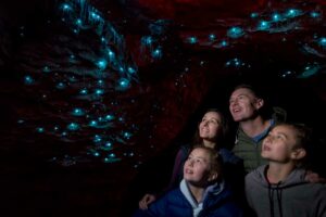 te anau glowworm caves new zealand south island itinerary 7 days