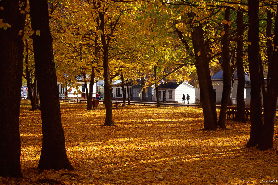 Arrowtown in autumn