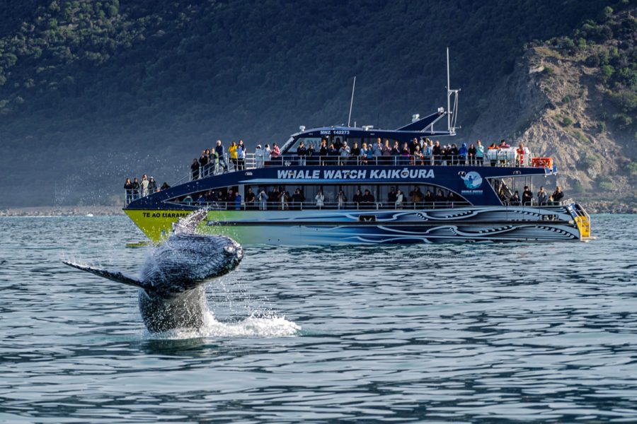 14 Day South Island Family Adventure Holiday
