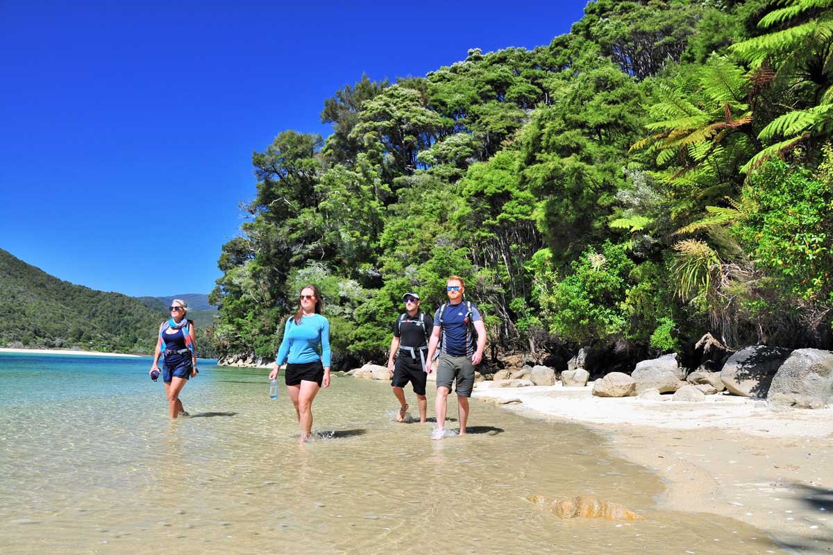 Kritiek Versnel Ansichtkaart Abel Tasman Coast Track | Wilsons Abel Tasman 3-5 Day Walks