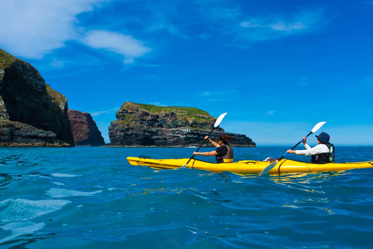 Pohatu Penguins Nature and Sea Kayak Tours