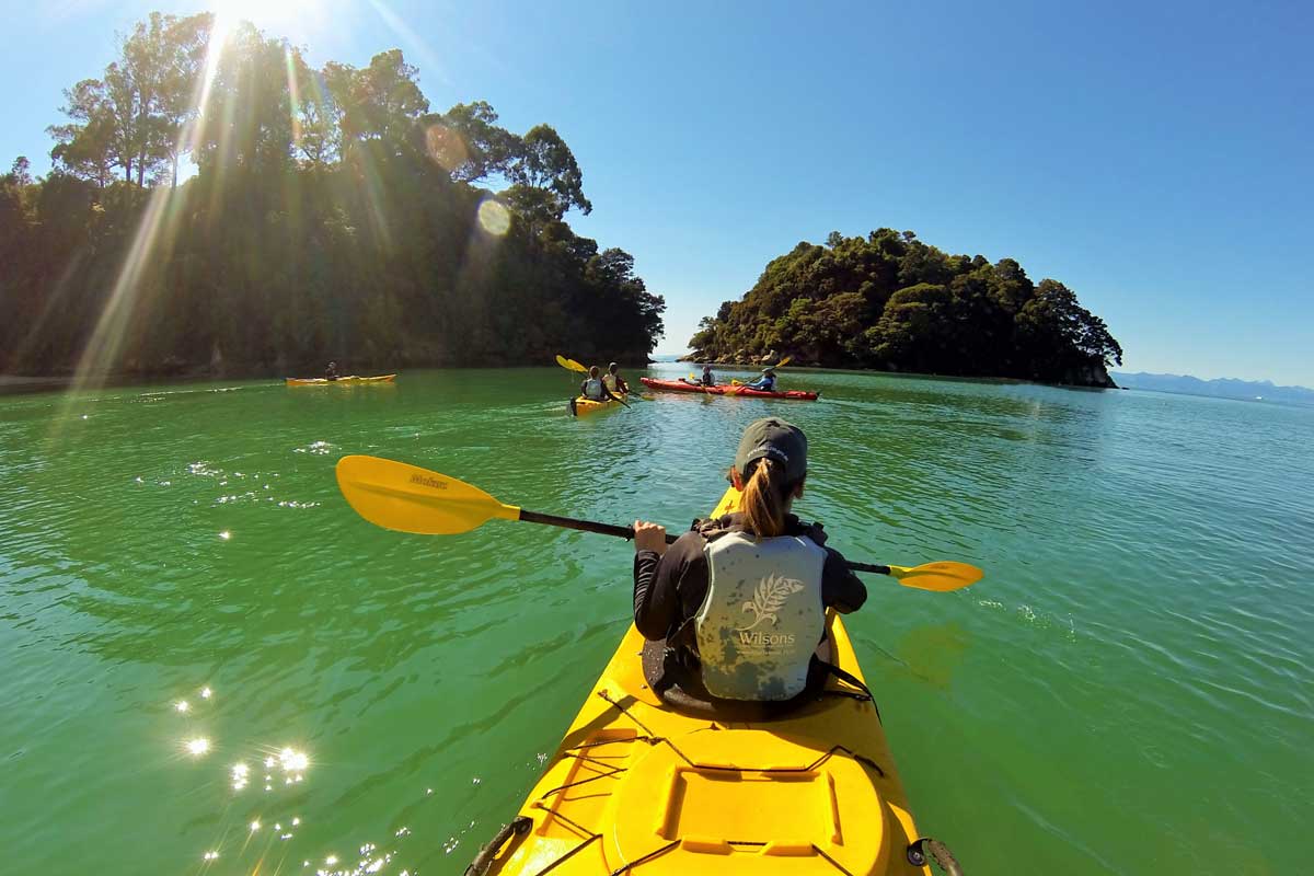 Wilsons Abel Tasman Sea Kayaking | Day Trips