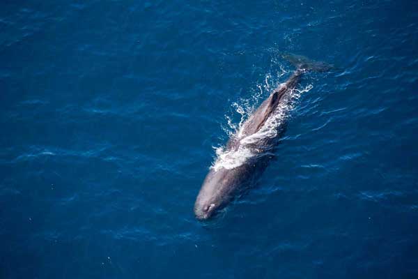 10 Day Aotearoa Highlights Holiday Package