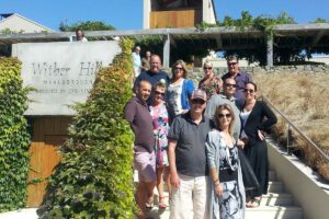 bubbly grape wine tours south island itinerary