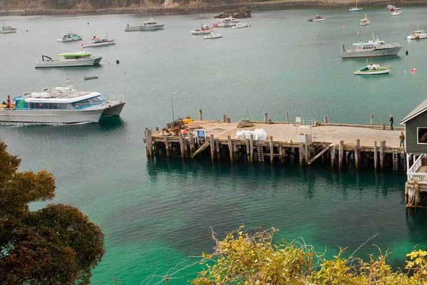 Stewart Island | Ferry Services