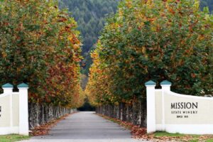 hawkes bay wine tours