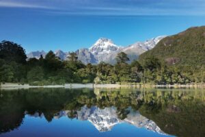 hiking new zealand tours hollyford track