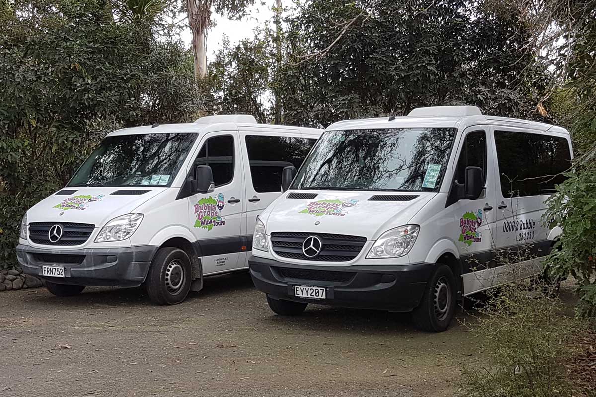Bubbly Grape Wine Tours Marlborough
