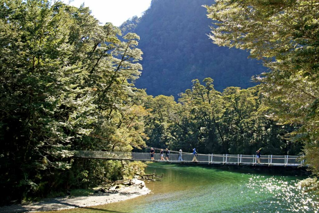 milford track hiking experiences on the South Island
