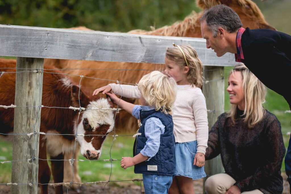 new zealand farm tours family holiday