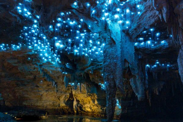 waitomo caves New zealand guided tours