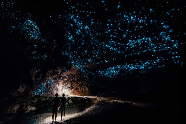 waitomo glowworm caves New Zealand LOTR Tour