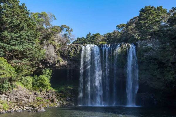 Rainbow Falls Kerikeri Bay of Islands tour