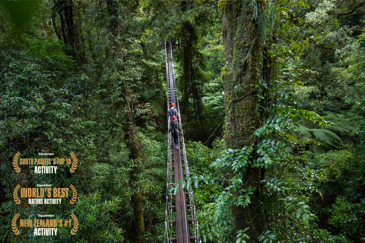 Rotorua Canopy Tours
