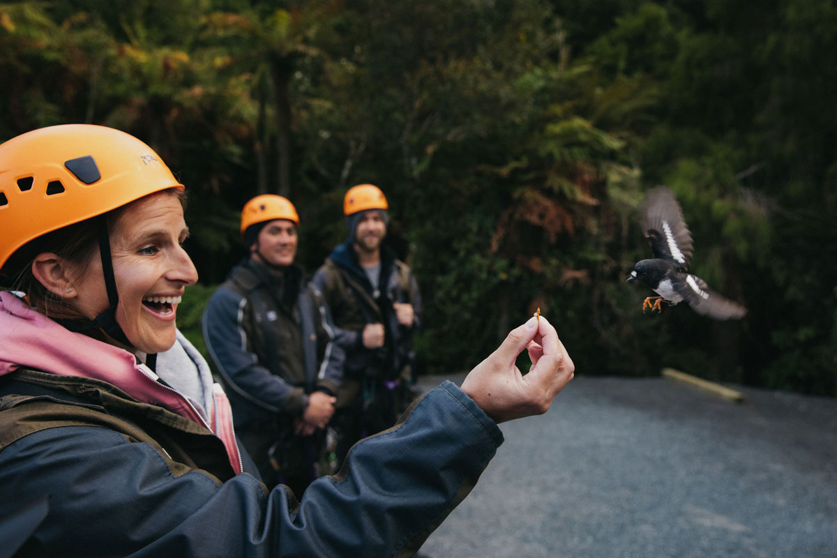Rotorua Canopy Tours