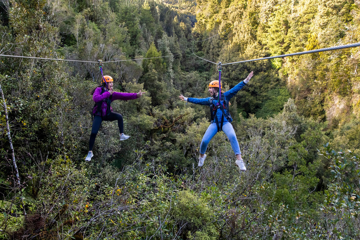Rotorua Canopy Tours