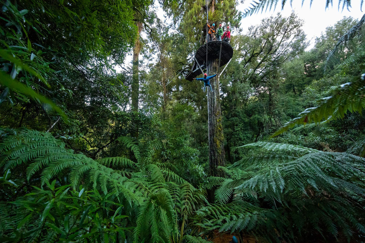 Rotorua Canopy Tours
